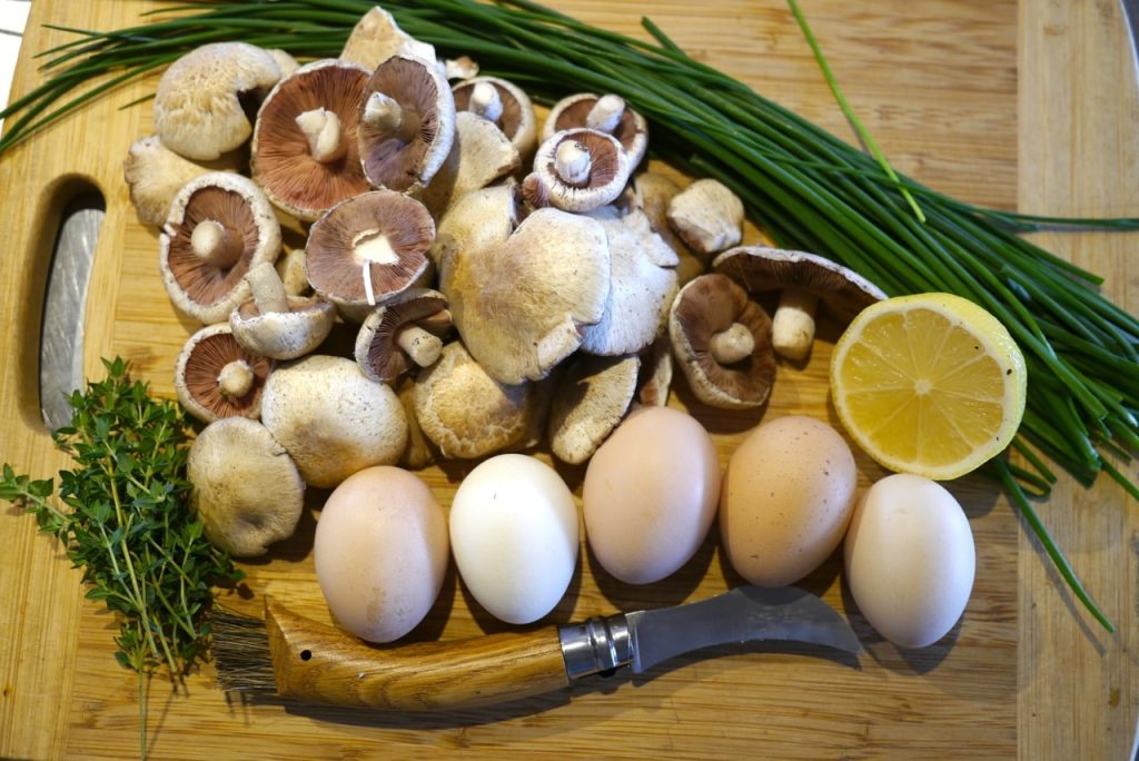 How To Forage Mushrooms Safely And Successfully